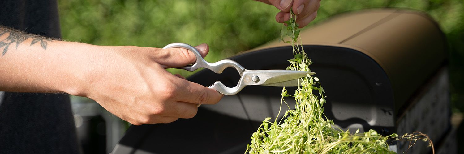 image-2d4dbbdbacf2c4b301f22791a7ac7f2321a74b90-1500x500-jpg
